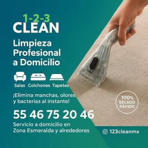 Lavado de tapicería residencial 